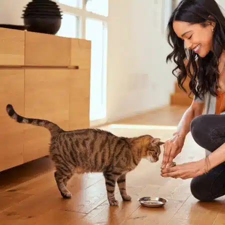nourriture pour animaux domestique que leur donne t on réellement à manger